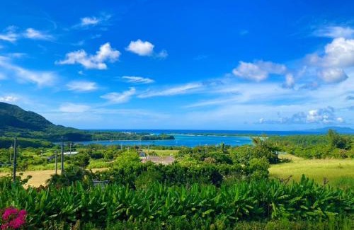 Kabira Hotel | Nico House A - Vacation STAY 07461v