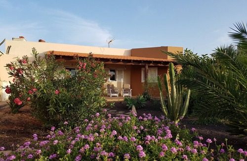 Antigua House | Nico House. House with wifi between gardens and olive trees.