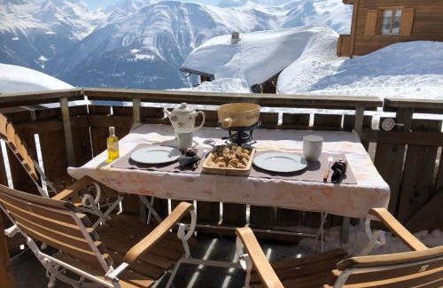 Reckingen Apartment | Nido Alpino Fiescheralp