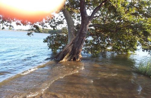 Dambulla House | Niduwari Lake Homestay