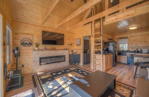 Murphy Cabin | Nikobear's Nook-Tiny Cabin/BIG Amenities-King Bed-Secure Porch and Yard for Pups