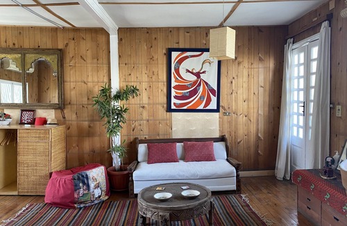Gezira Apartment | Nile Loft - Houseboat65, Zamalek Island - Central Cairo