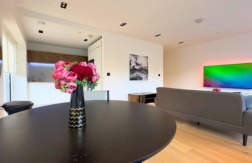 Tachbrook Apartment | Nine Elms US Embassy Modern + Cinematic HDTV + 1GB wifi