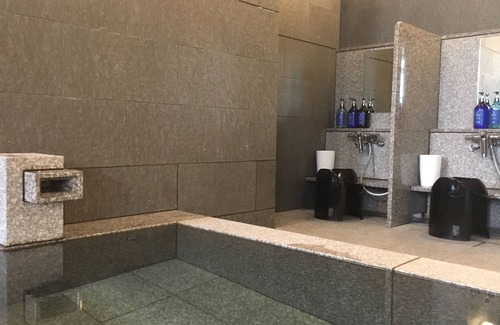 Harajuku Hotel | Nippon Seinenkan Hotel