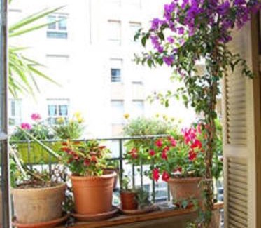 Quartier du Port Apartment | Nissa la Bella