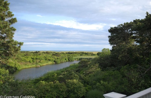 Surfside House | nNow Booking for 2024 Season nPrivate Estate with Pool house, Pool and Cottagen