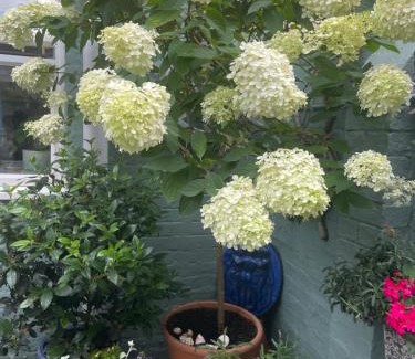 Cowes House | No 28 cosy cottage in the heart of Cowes