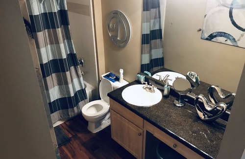 South Arlington Apartment | NO PLACE LIKE HOME!