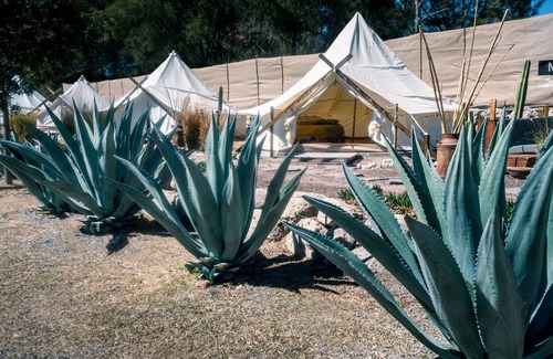 San Miguel de Allende Other | Nomada Glamping - San Miguel de Allende X NANTLI LIVING