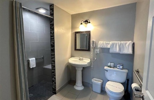 Lakeside Park House | Non-Smoking Queen Accessible Room - NSQA