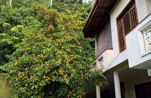 Kaduruduwa Villa | nOne-Bedroom Apartment