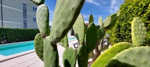 Narni Scalo Hotel | Nonna Anita Palace Narni