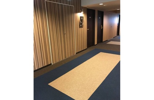 Misasa-cho Hotel | Nonsmoking Great value Superior semidouble r/Kurayoshi Tottori