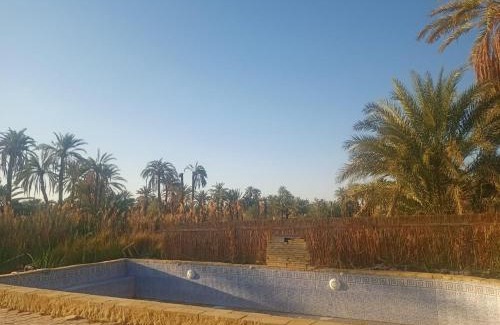 Siwa House | noor house