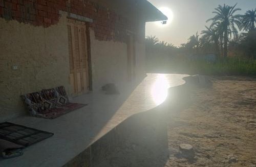 Siwa House | noor house
