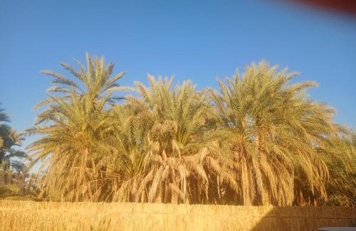 Siwa House | noor house