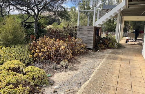 Normanville House | Normanville Beach House - Wake up to the sound of the ocean and bird life.