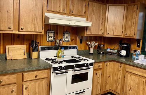 Manistee House | North Country Cabin - Secluded cabin on 20 acres