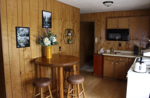 Pine River Cabin | Northwoods Hideaway near Whitefish Chain of Lakes