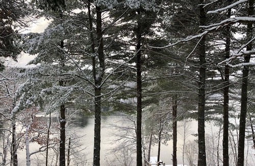 Hayward Cabin | Northwoods Lakefront Retreat! Charming and Inviting Cabin 15 minutes to Hayward.