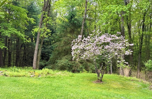 Sigel Cottage | Northwoods Ln Cottage in Clear Creek
