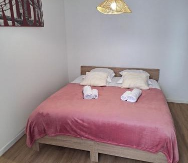 Orleans Apartment | Notre Dame 2 - Entrée privative - Indépendant - 50m bords de Loire - Hypercentre