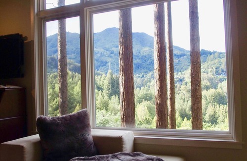 Mill Valley House | Now available! Beautiful Spacious, Private Mill Valley Home. Stunning view!