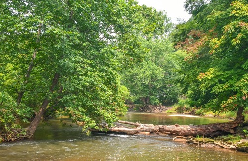 Warrensville Cottage | NOW BOOKING RIVER OTTER COTTAGE! 2BR/1BA ON THE NEW RIVER W/FIREPIT AND WIFI