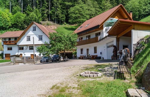 Bad Peterstal-Griesbach Apartment | Nr. 2 Bergblick, moderne Wohnung, 35qm mit begehbarer Dusche
