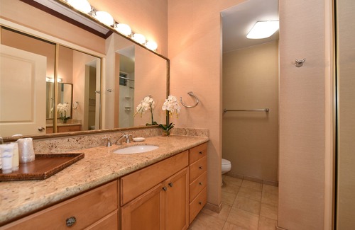 Napili Condo | NS D230 Studio w Pool Steps to Napili Bay