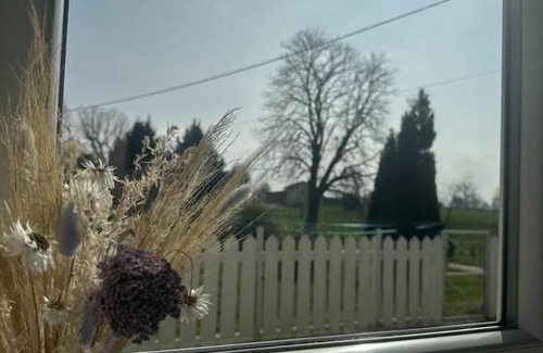 Saint-Benigne House | Nuance Mauve - Saint Benigne