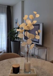 Nueva Cordoba Apartment | Nueva Córdoba - Premium
