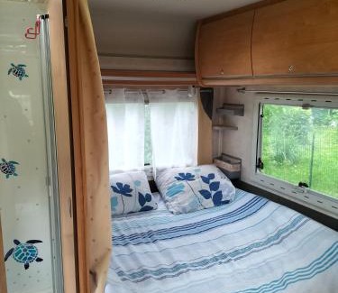 Jouars-Pontchartrain Other | Nuit Insolite Totoro