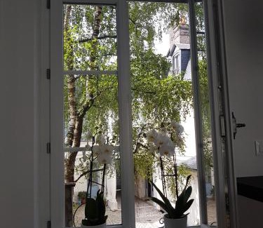 Rouen City Centre Apartment | Nuit Zen Rouen - Jacuzzi - Centre Historique