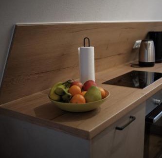 Geyersberg Apartment | Nurdachhaus am Geyersberg