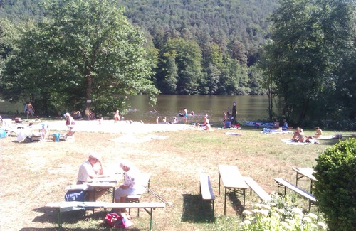 Feriendorf Eichwald House | Nurdachhaus in the Palatinate Forest for up to 6 people with terrace, garden and WiFi