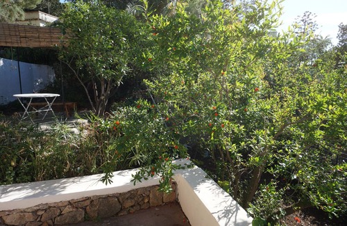 Torre Colonna-sperone Villa | Nut House Apartment Near the sea in a Villa With Garden