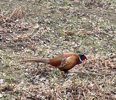 Rimbo Apartment | Nyrenoverat strandnära med fantastisk utsikt