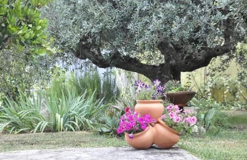 Fatima House | O cantar dos passarinhos