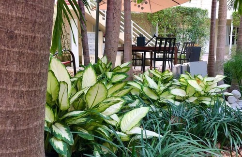Edgewater Apartment | Oasis-03 5 MIN FROM MIAMI BEACH, Studio, Miami Design District & Wynwood