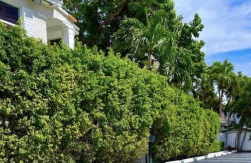 Edgewater Apartment | Oasis-06 5 MIN FROM MIAMI BEACH, Studio, Miami Design District & Wynwood