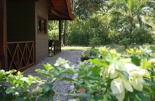 Cahuita Apartment | Oasis Apartment - Cahuita - Limon