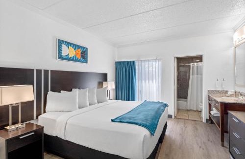 Terrace Park Hotel | OASIS BAY SUITES, Tampa, Busch Gardens, USF