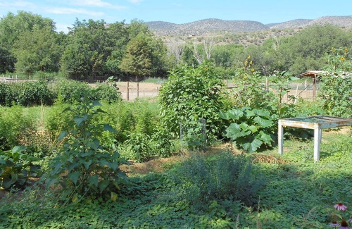 Mule Creek House | Oasis by the Wilderness