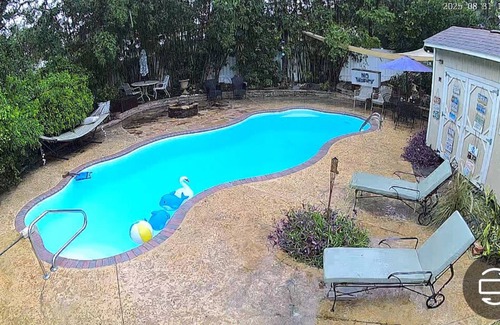 Tarpon Springs House | Oasis in Tarpon Springs