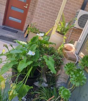 Dural House | Oasis in the Heart of Dural