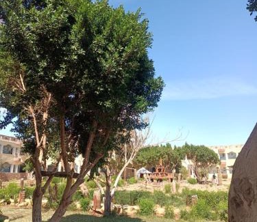 Bawati Hotel | Oasis Panorama Hotel