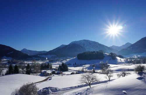 Ruhpolding Apartment | Obersteinberg-Hof inkl. Chiemgaukarte