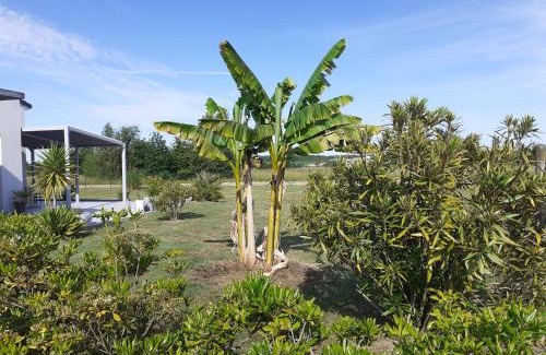 Saint-Augustin Bed & Breakfast | Océane