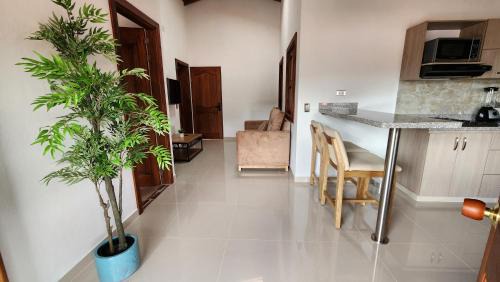 Jardin Apartment | OCASSO JARDIN APARTAMENTO COLIBRÍ